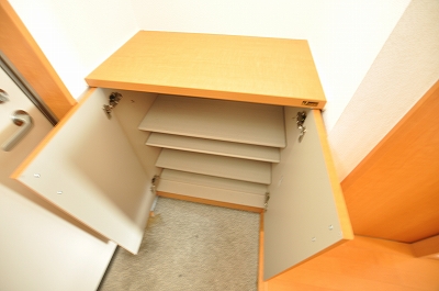 Entrance. Equipped with shoes BOX is the front door