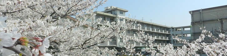 Primary school. 2153m to Kitakyushu Mitsusada elementary school (elementary school)
