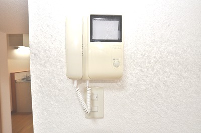 Security. TV interphone