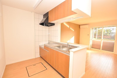 Kitchen. Gas stove can be installed with grill.