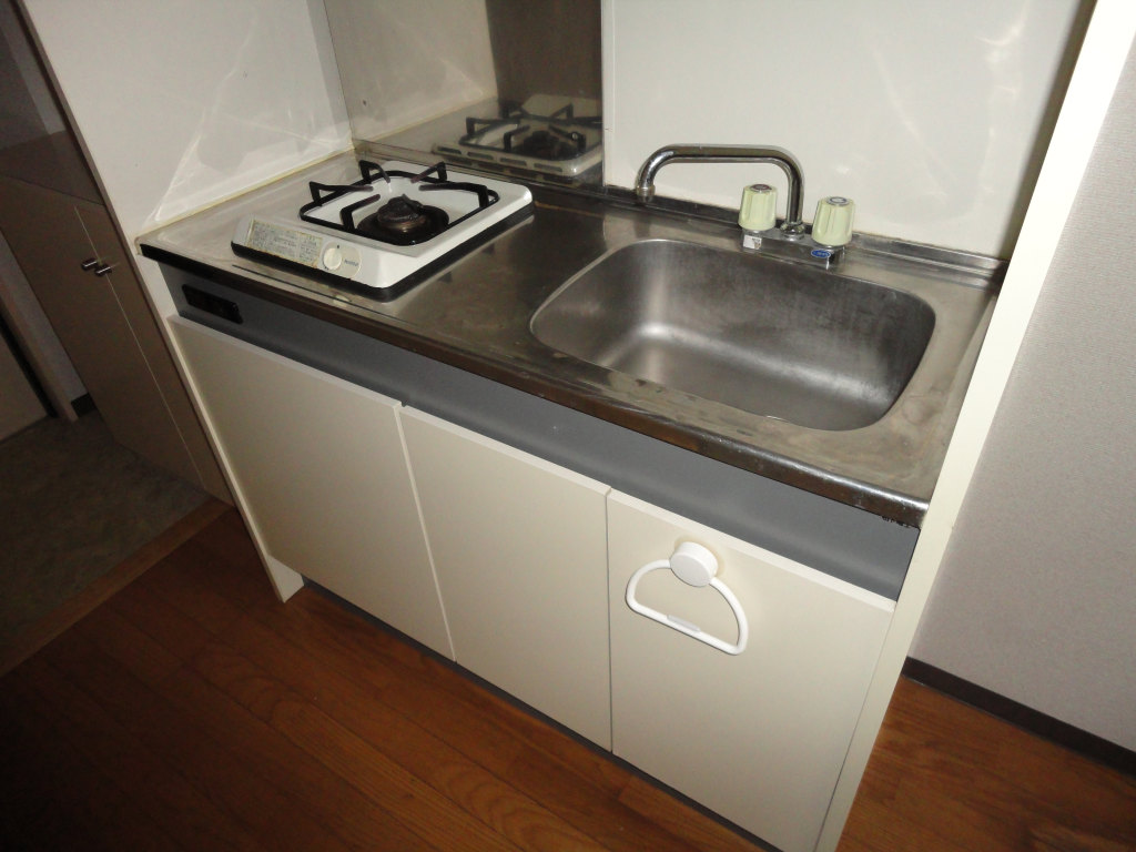 Entrance. Wash basin