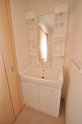 Washroom. Vanity shower