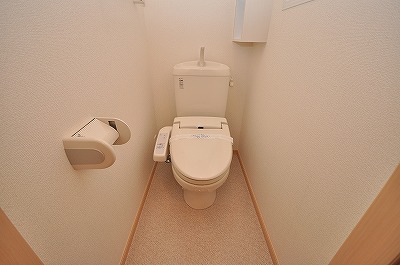 Toilet. Warm water washing toilet seat