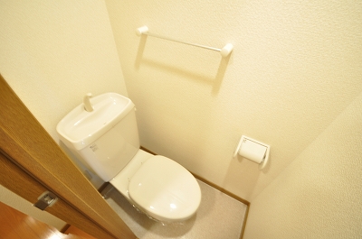 Toilet. Western-style toilet