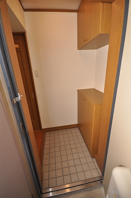 Entrance. Loose shoes BOX