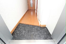 Entrance. With shoes BOX