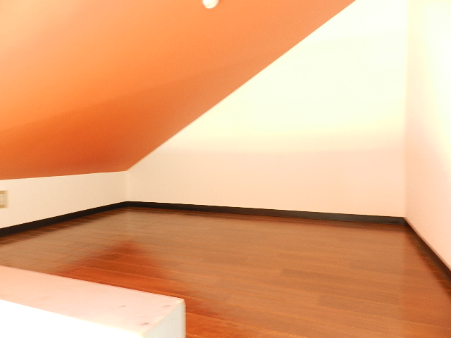 Other. Pretty broad loft