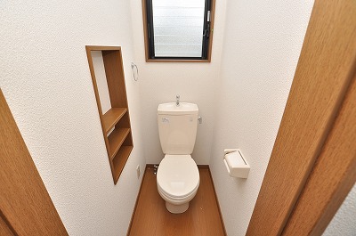 Toilet. Western-style toilet
