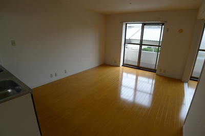 Living and room. Living