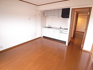 Living and room. Living