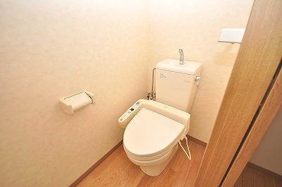 Toilet. Warm water washing toilet seat