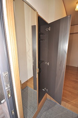 Entrance. Mirror with shoes BOX