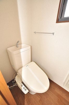 Toilet. Warm water washing toilet seat