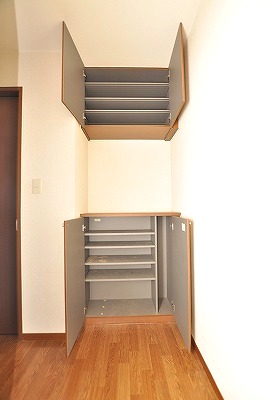 Entrance. Shoes BOX when open