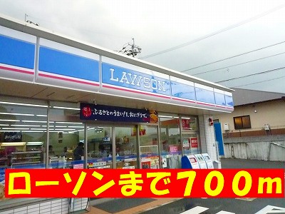 Convenience store. 700m until Lawson (convenience store)