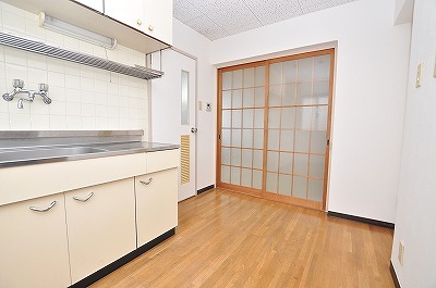 Living and room. Kitchen space