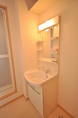 Washroom. Vanity shower