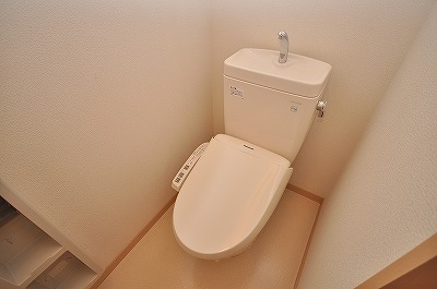Toilet. Warm water washing toilet seat
