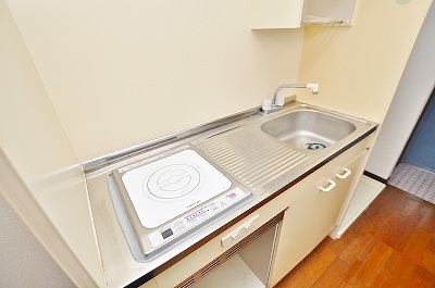 Kitchen. IH cooking heater