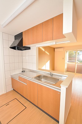 Kitchen. Gas stove can be installed with grill.