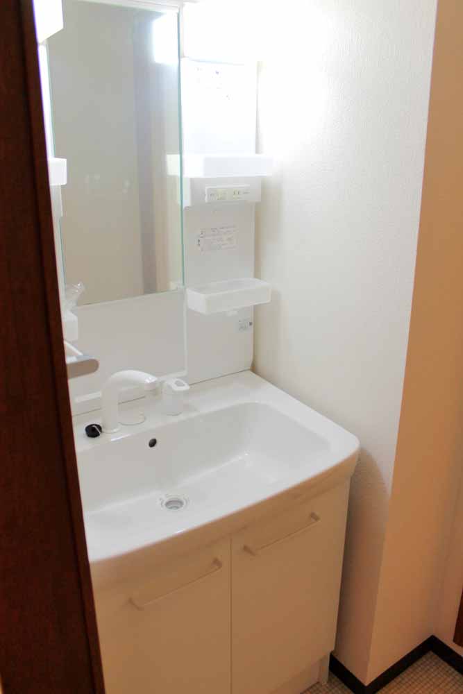 Washroom. Shampoo dresser