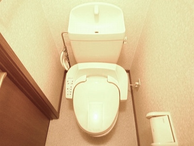 Toilet. Warm water washing toilet seat