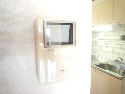 Security. Monitor with intercom