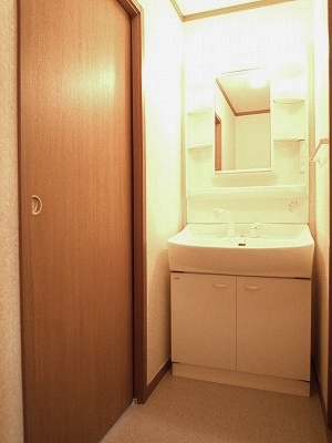 Washroom. Shampoo dresser