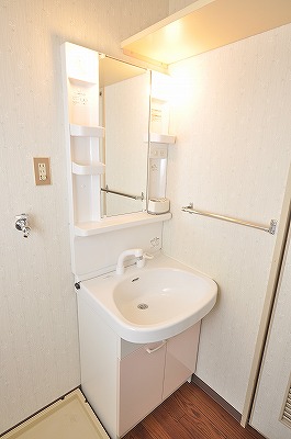 Washroom. Vanity shower