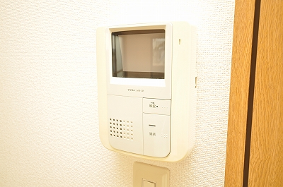 Security. TV with monitor Hong