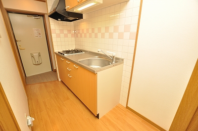 Living and room. Kitchen space