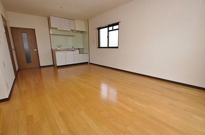 Living and room. Spacious living room (1)