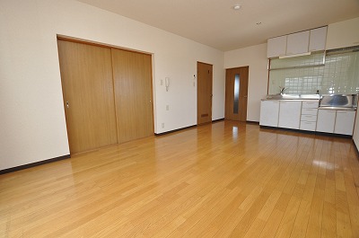 Living and room. Spacious living room (2)