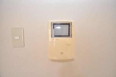 Security. TV monitor Hong