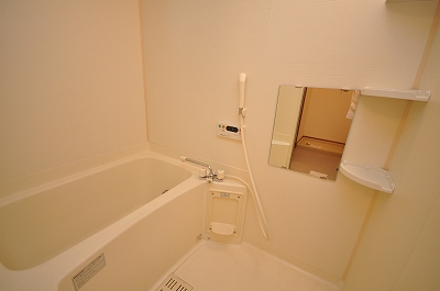 Bath. Interior photo isomorphic inverted image. Current state priority. 