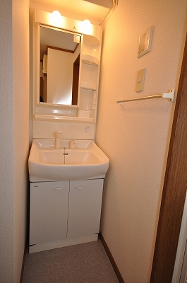 Washroom. Interior photo isomorphic inverted image. Current state priority. 