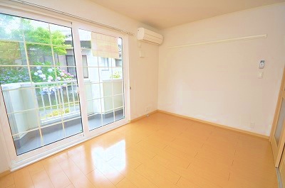 Living and room. Living