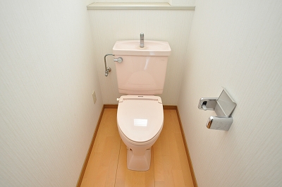 Toilet. Toilet