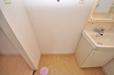 Other Equipment. Of course Laundry Area in the room