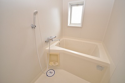 Bath. There is a bath in the window also. 