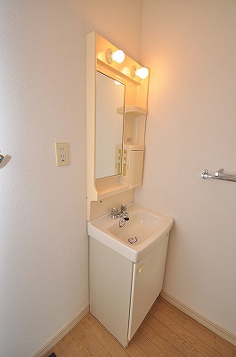 Washroom. Bathroom vanity