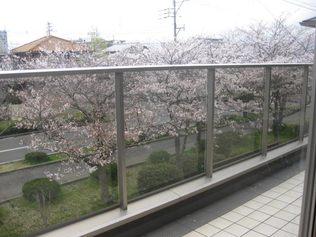 View photos from the dwelling unit