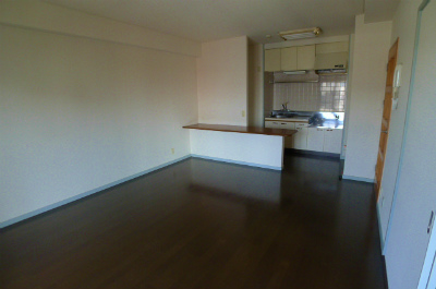 Living and room. Living