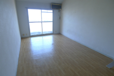 Living and room. Living