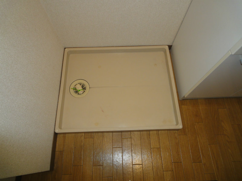 Other room space. Washing machine in the room