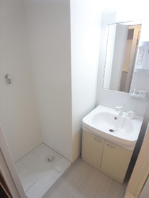 Washroom. Spacious dressing room