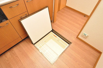 Other. It is this space even under the floor. 