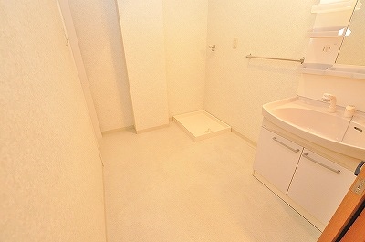 Washroom. It comes with shampoo dresser