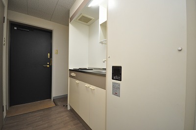 Entrance. I feel that looking at the front door from the kitchen back