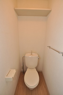 Toilet. Western-style toilet
